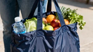 ecofriendly bag