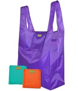 daily carry tote